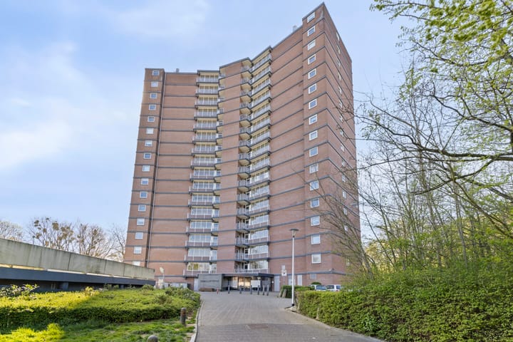 Foto 2 van Drieoortsput 18