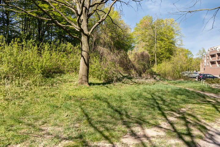 Foto 29 van Drieoortsput 18