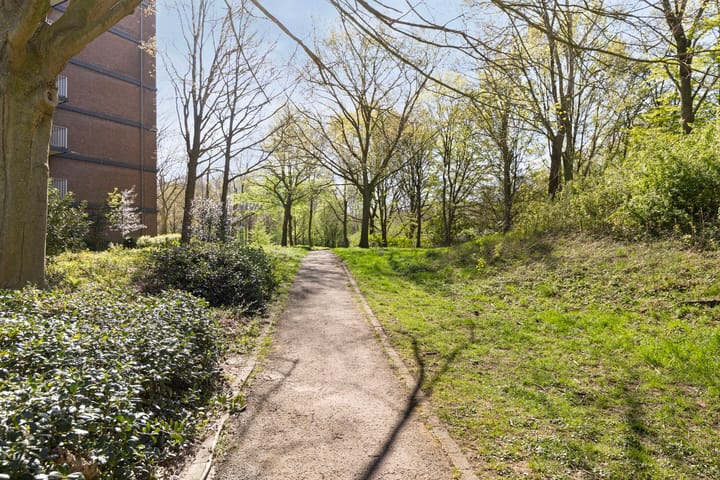 Foto 30 van Drieoortsput 18