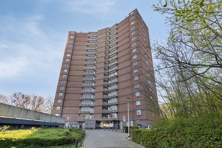 Foto 2 van Drieoortsput 88