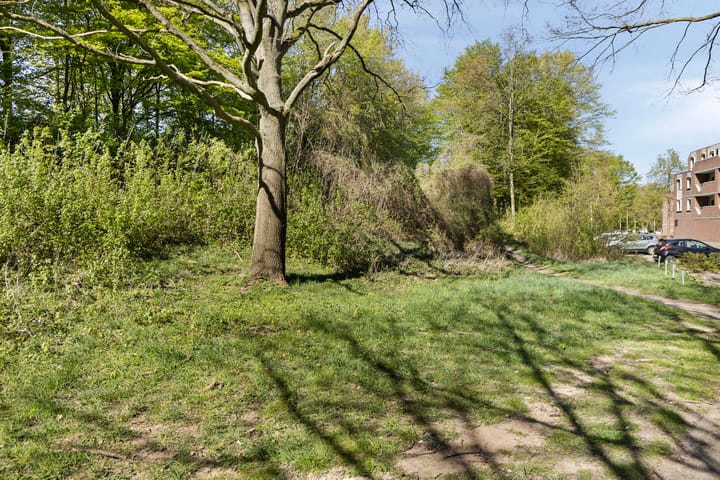 Foto 28 van Drieoortsput 88