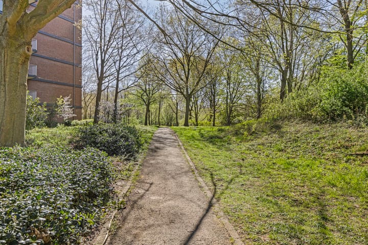 Foto 29 van Drieoortsput 88