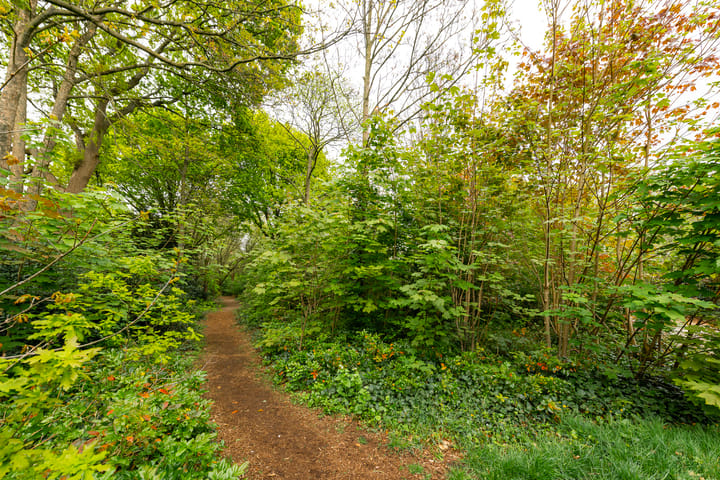 Foto 43 van Kroostweg 67