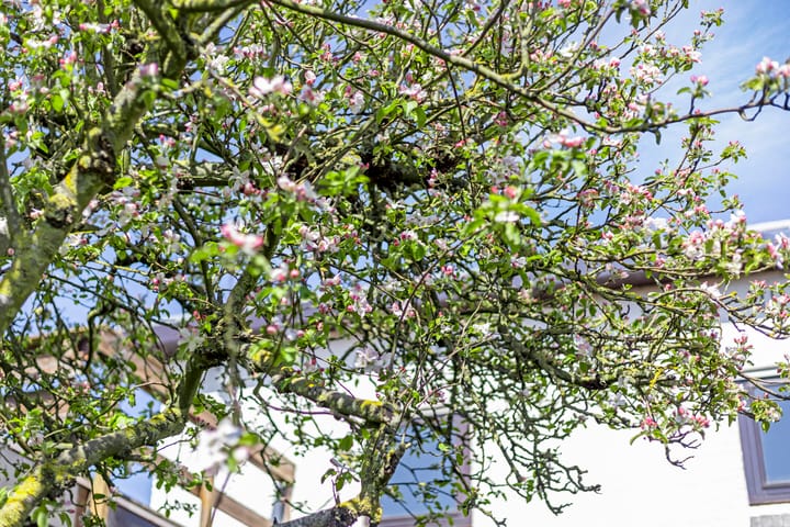 Foto 46 van Zilkerbinnenweg 35