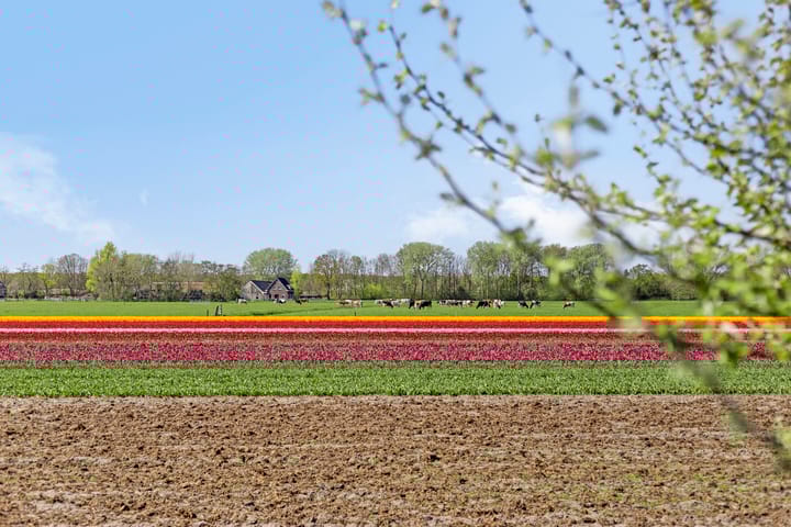 Foto 45 van Zilkerbinnenweg 35