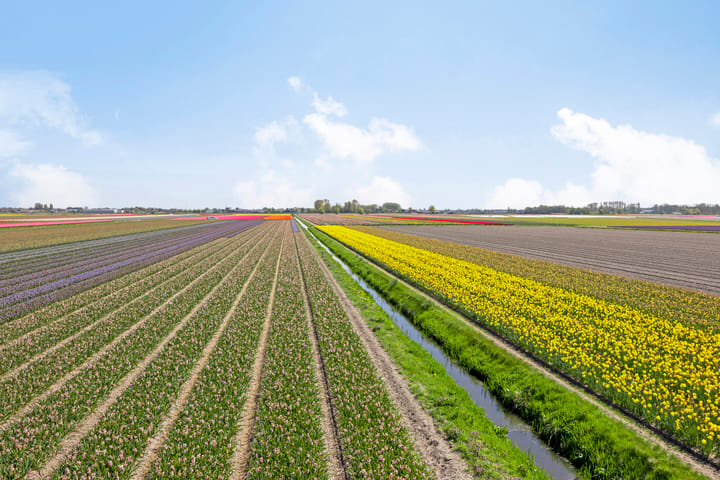 Foto 63 van Zilkerbinnenweg 35