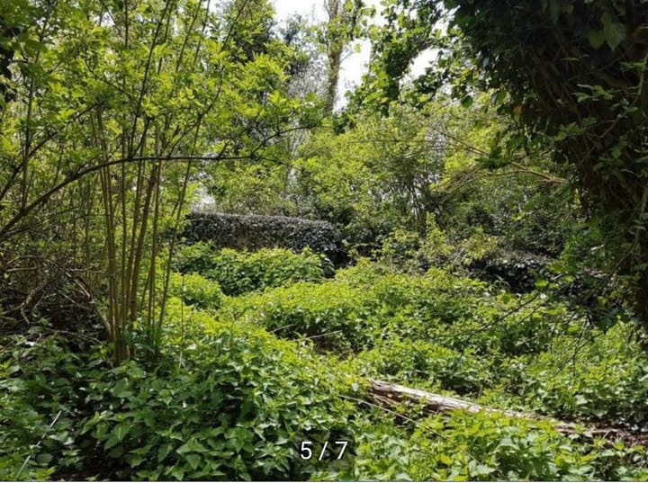 Foto 4 van Eilandspolder kavel 341 342