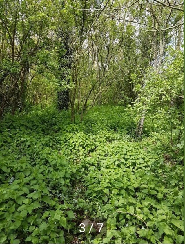 Foto 3 van Eilandspolder kavel 341 342