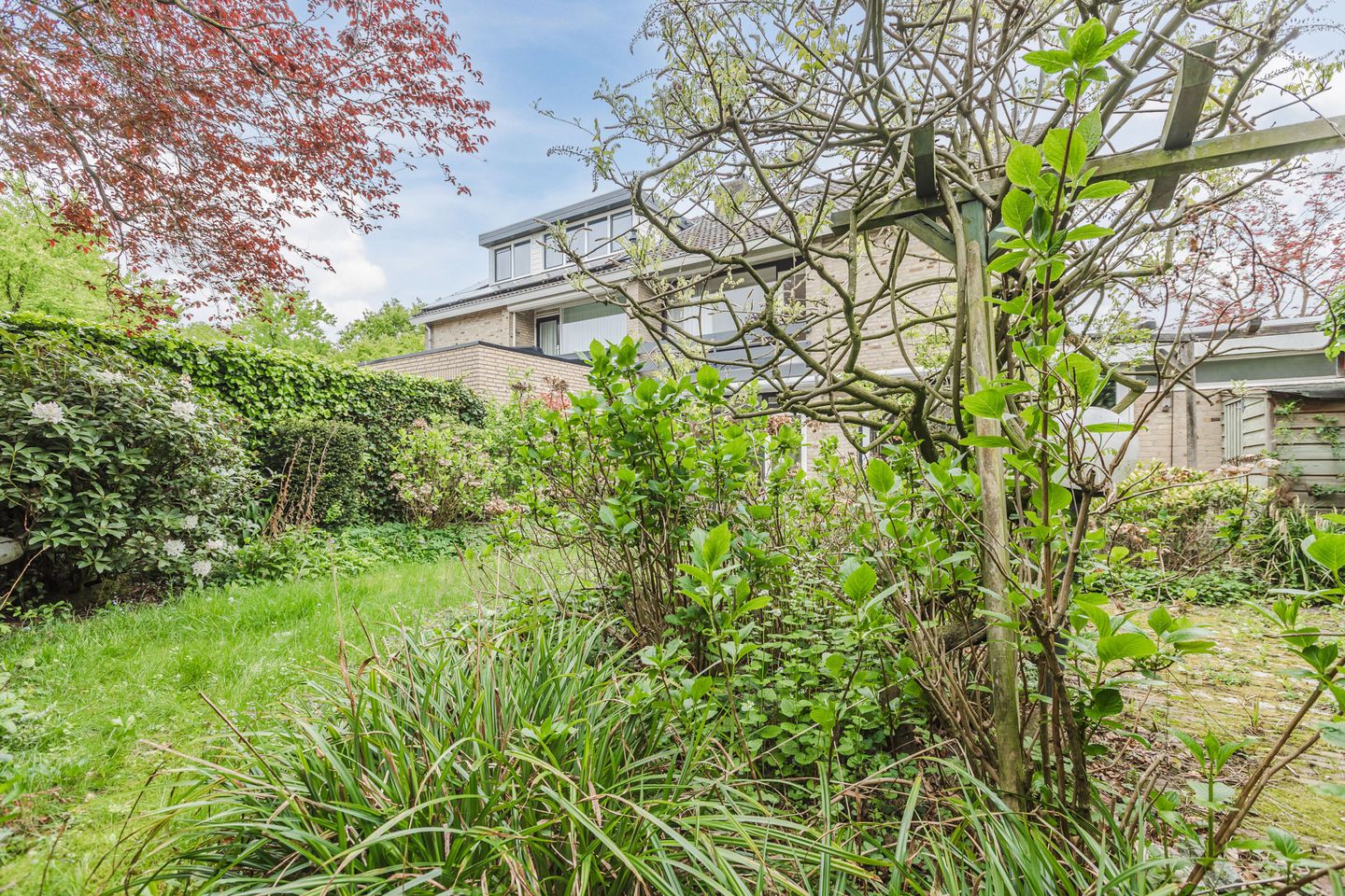 Photo 44 of Aalsburg 1704