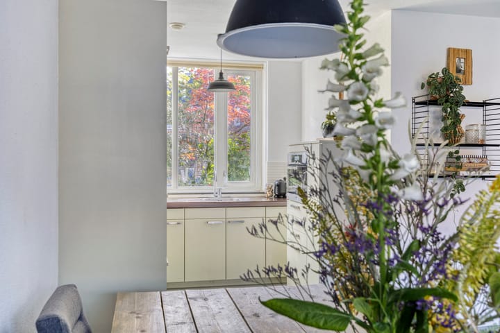 Foto 21 van Cor Spaanslaan 66