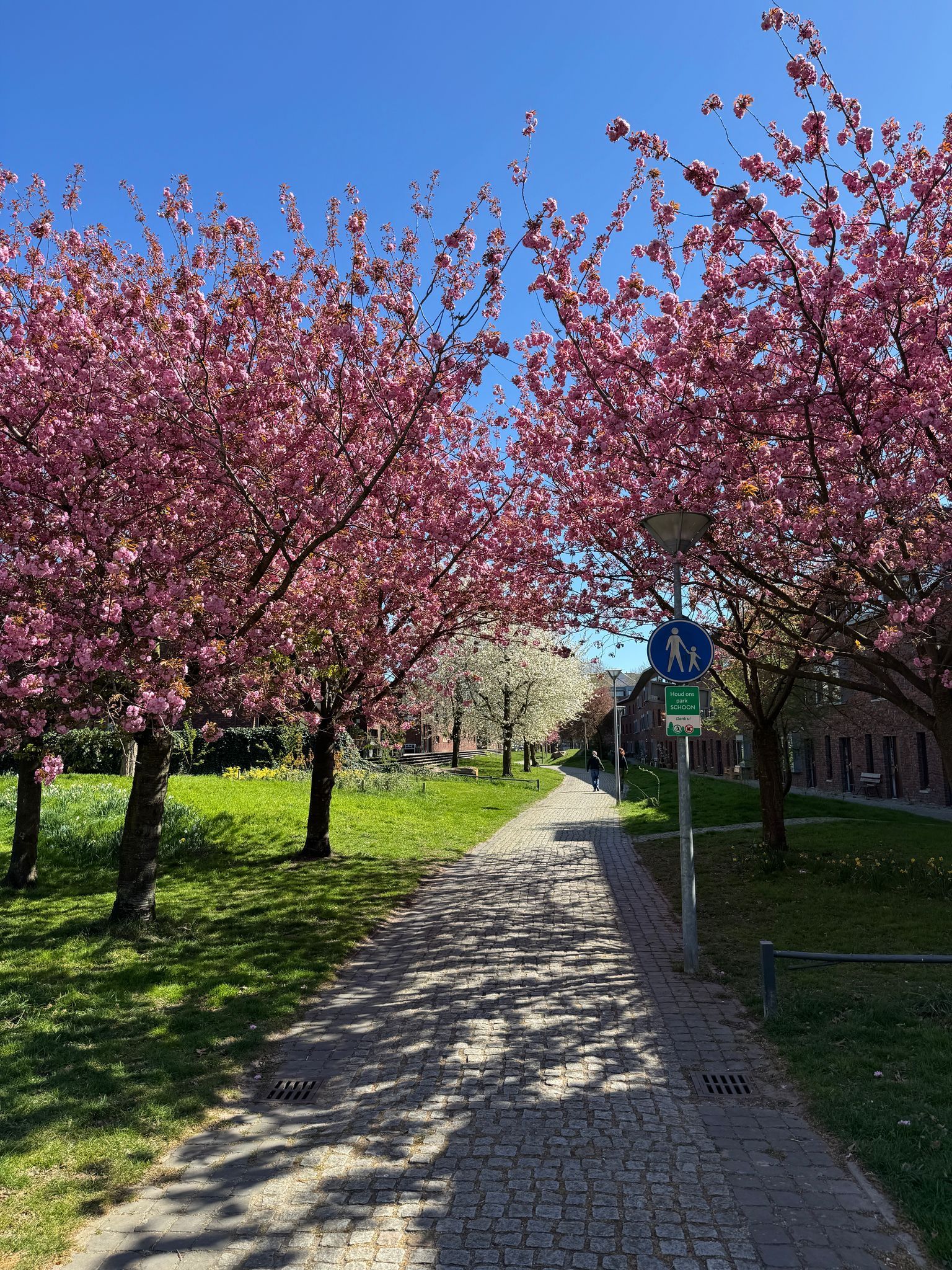 Foto 48 van Reyer Anslostraat 63