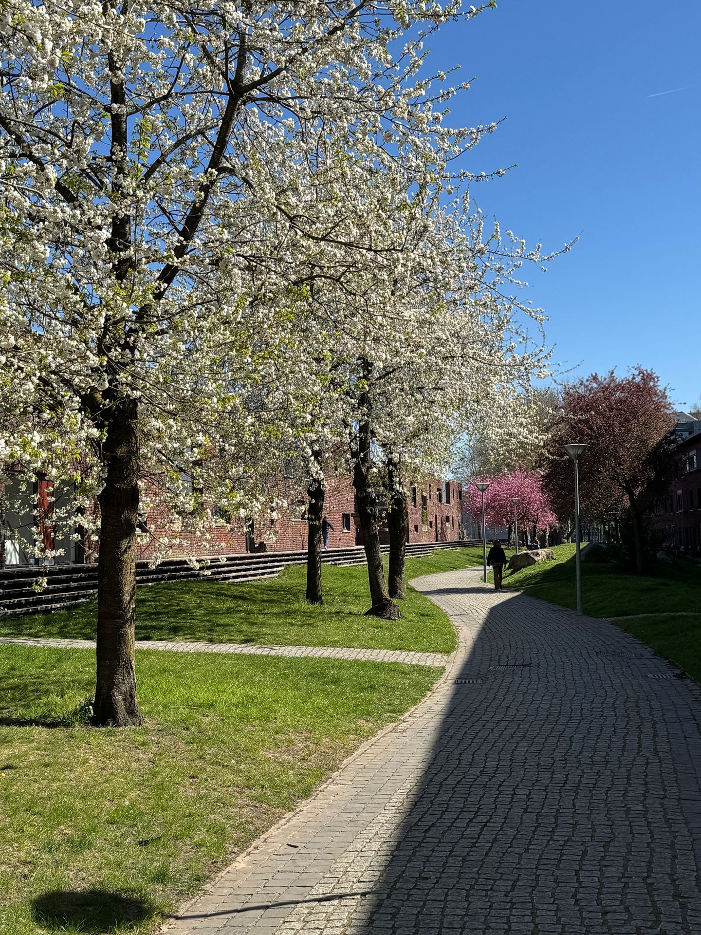 Foto 49 van Reyer Anslostraat 63