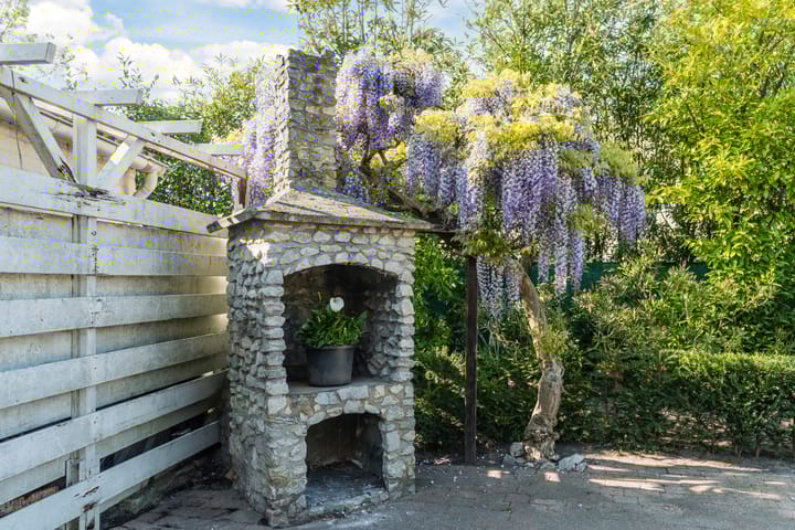 Foto 34 van Cyclaamberg 12