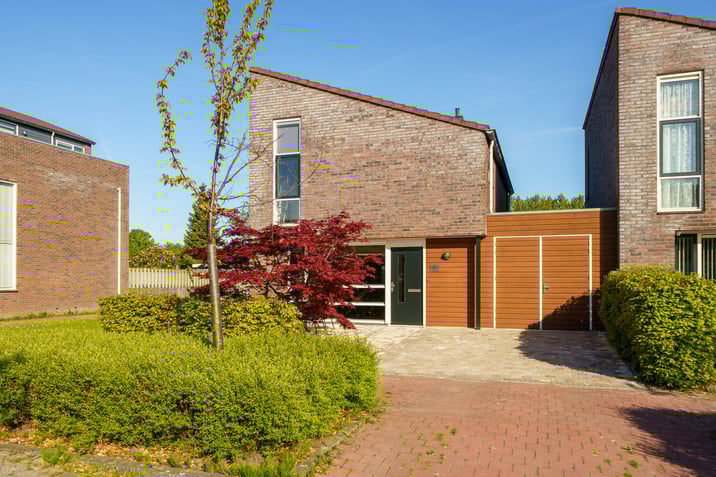 undefined main image