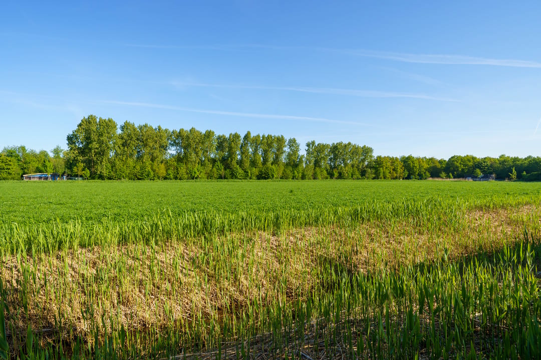 Photo 46 of Maandagstraat 42