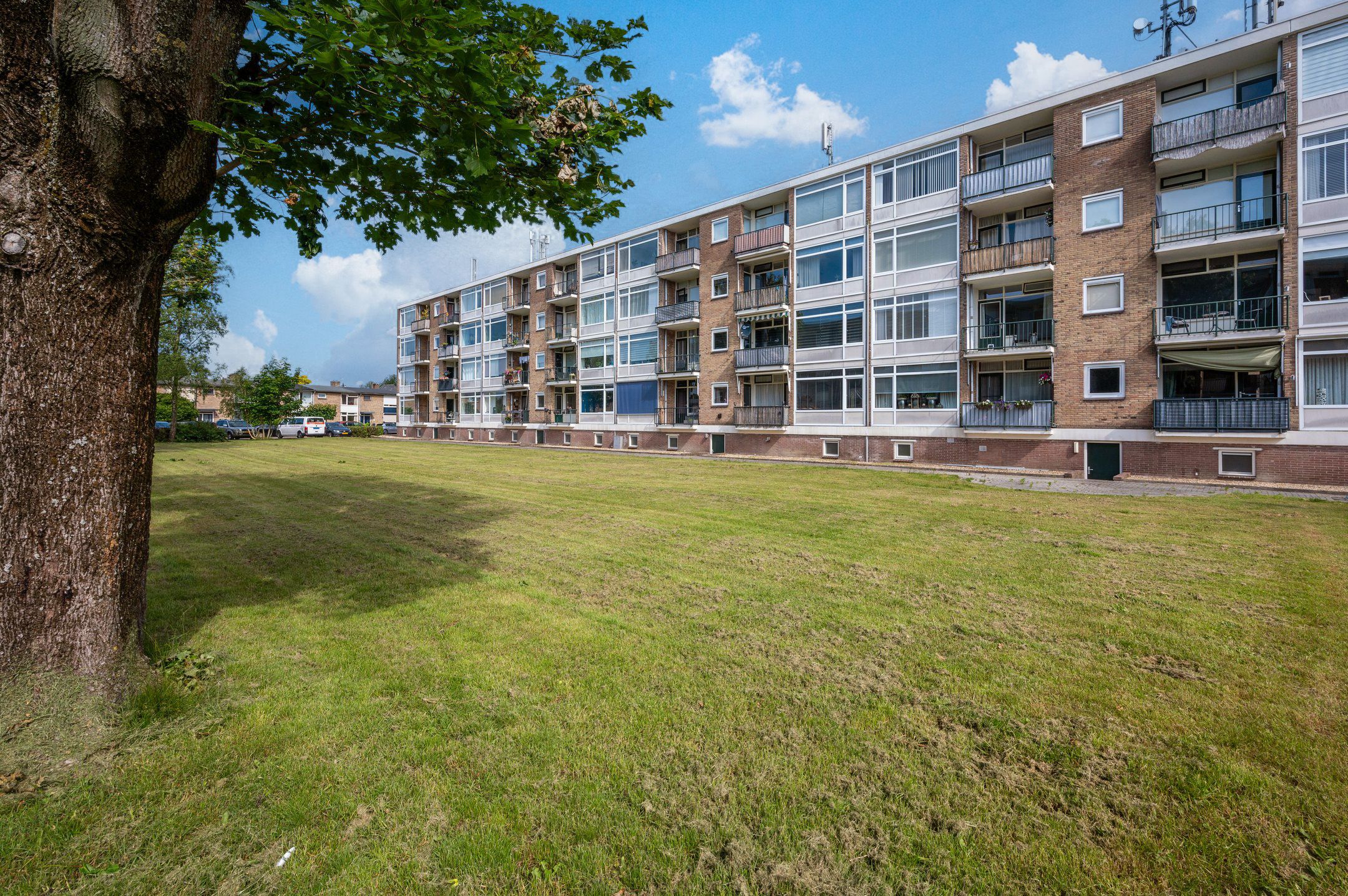 Foto 24 van Wolframstraat 6