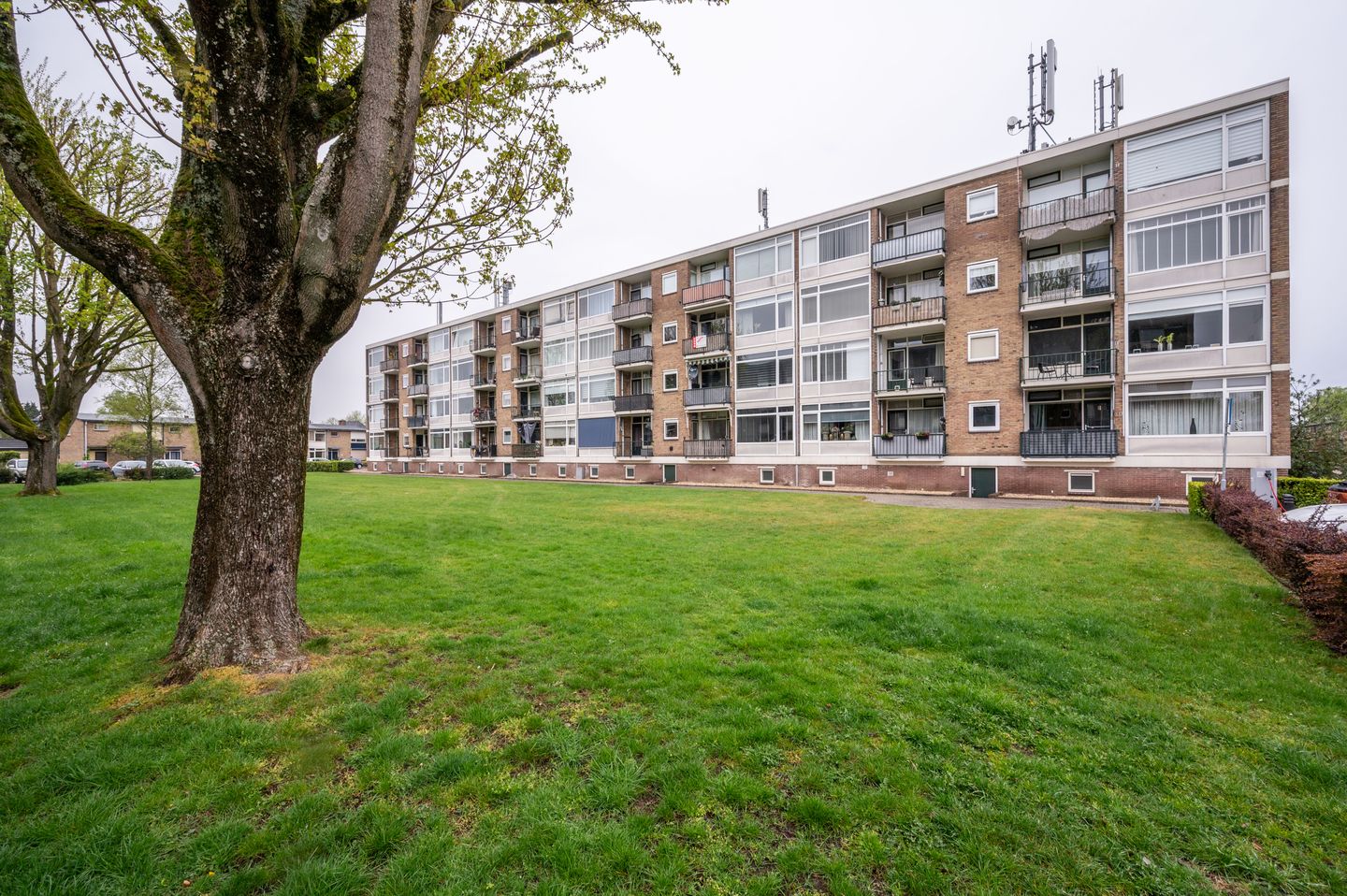 Foto 25 van Wolframstraat 6