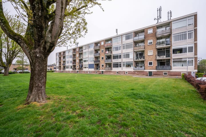 Foto 25 van Wolframstraat 6