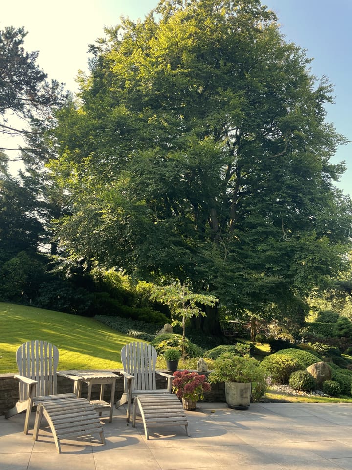 Foto 16 van Kleine Sparrenlaan 1