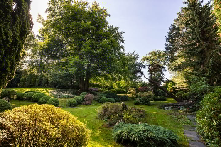 Foto 18 van Kleine Sparrenlaan 1