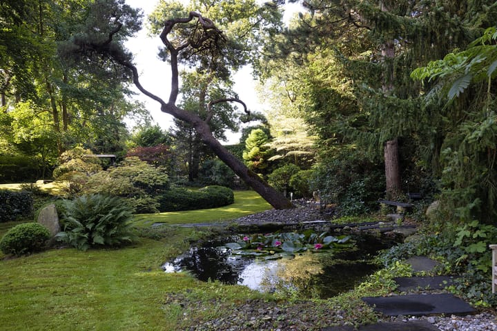 Foto 40 van Kleine Sparrenlaan 1