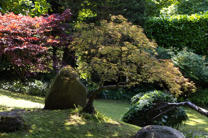 Foto 42 van Kleine Sparrenlaan 1