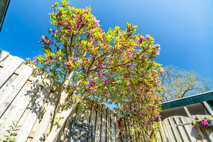 Foto 10 van Punterwerf 5