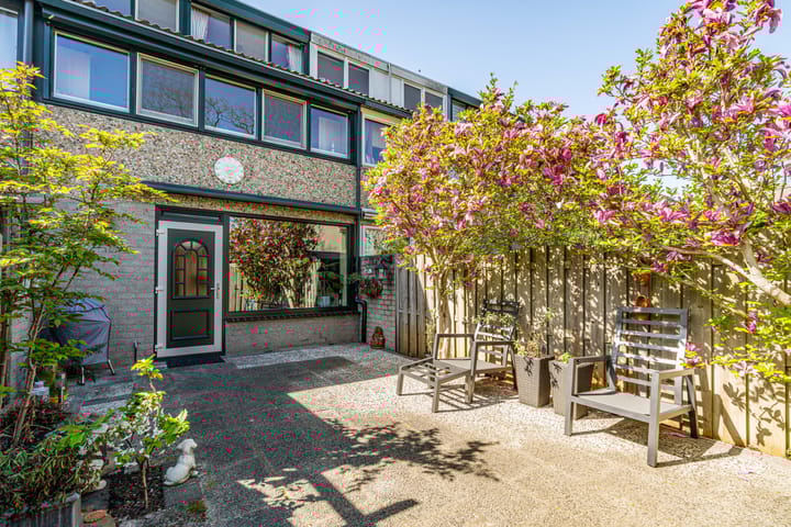 Foto 12 van Punterwerf 5