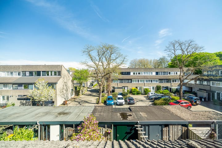 Foto 40 van Punterwerf 5