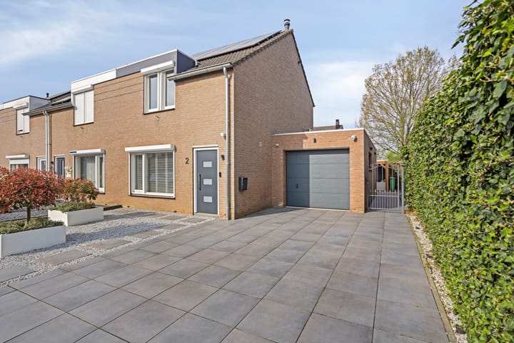 Photo 2 of Jacques Lebel 2