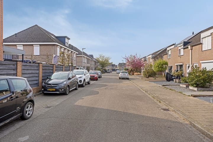 Foto 39 van Jacques Lebel 2