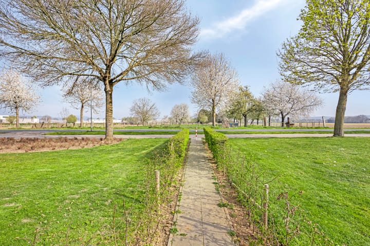 Foto 42 van Jacques Lebel 2