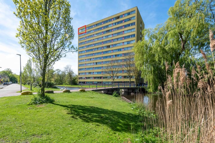 Foto 1 van Boeierstraat 339