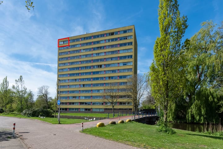 Foto 27 van Boeierstraat 339