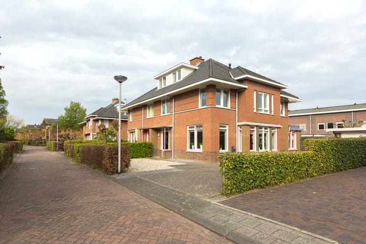 Foto 4 van Lavendeltuin 6