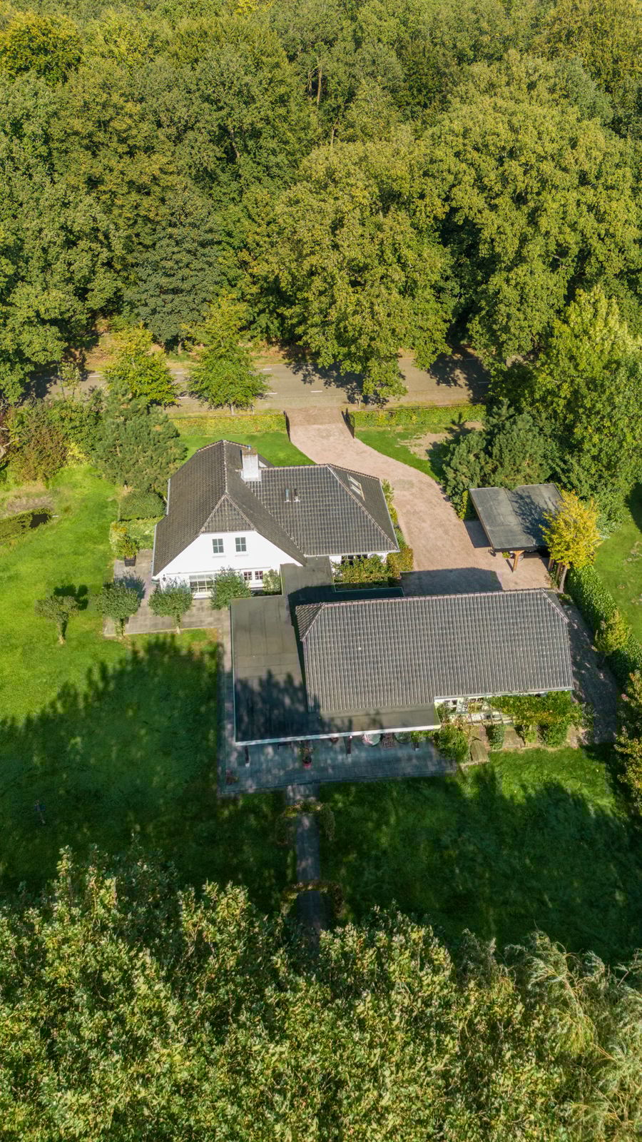 Foto 37 van Oude Liesboslaan 265