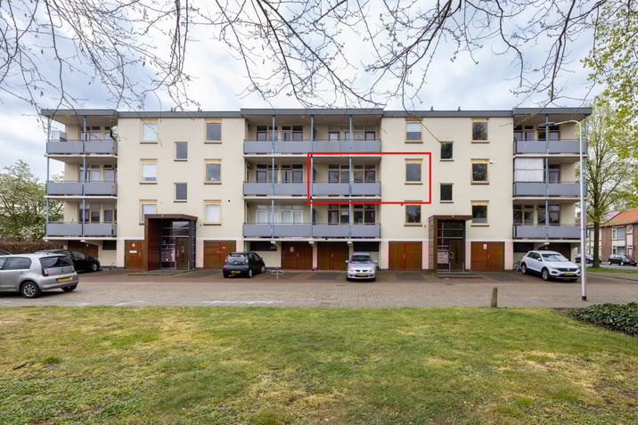 undefined main image