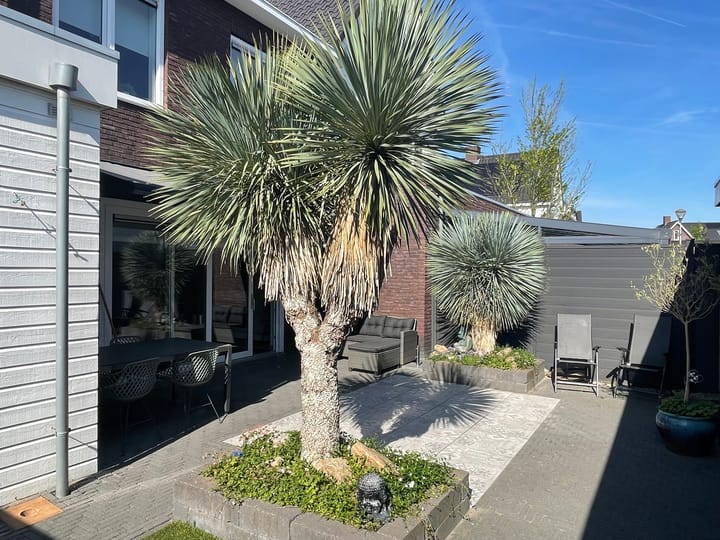 Foto 16 van Atalantazoom 35