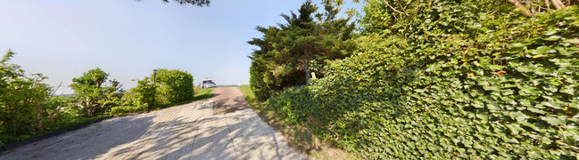 Achtertuin