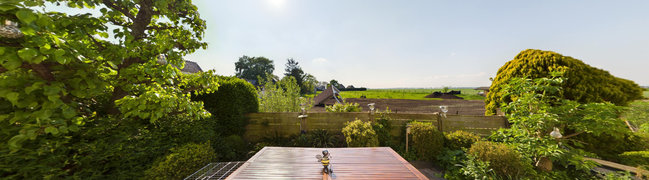 Achtertuin