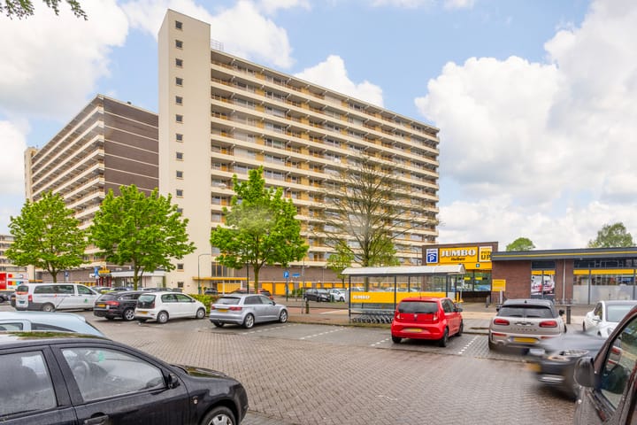 Foto 3 van Prins Willem-Alexanderpark 585