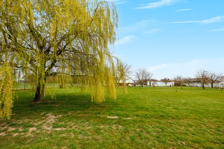 Foto 4 van Pannenweg 1-A