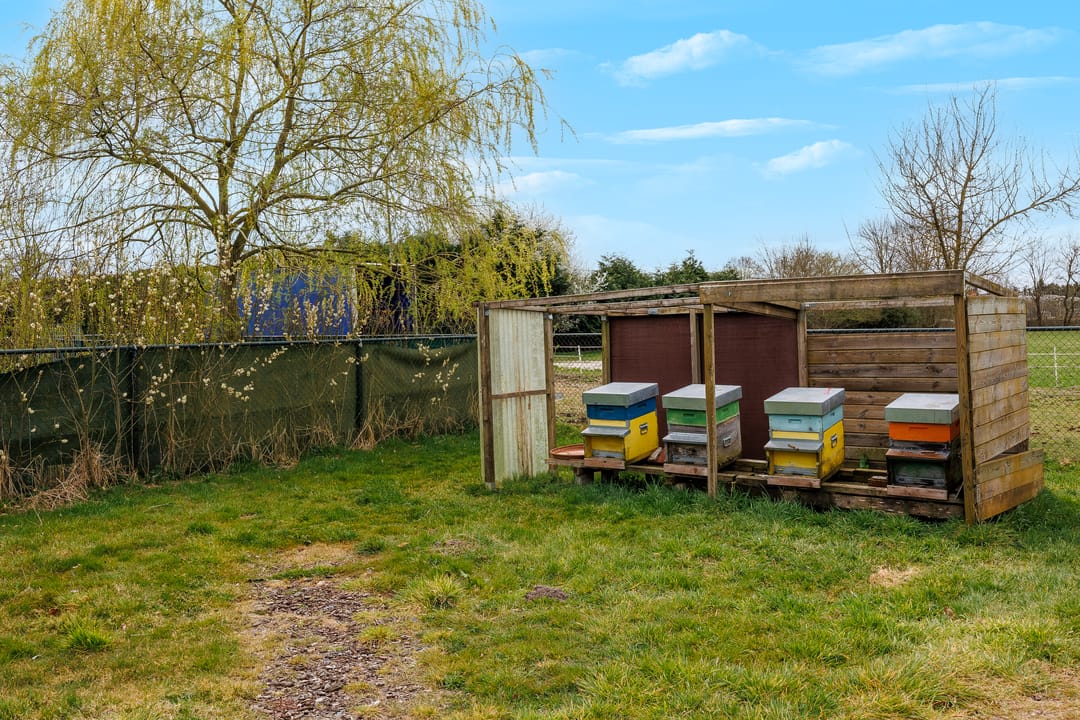 Foto 52 van Pannenweg 1-A