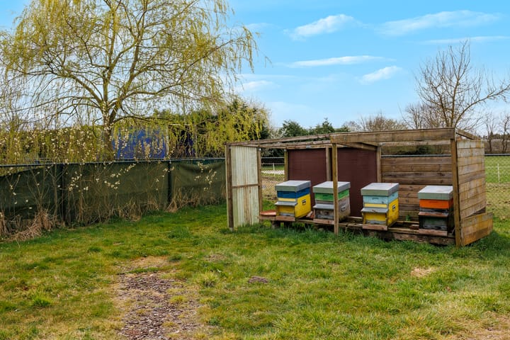 Foto 52 van Pannenweg 1-A