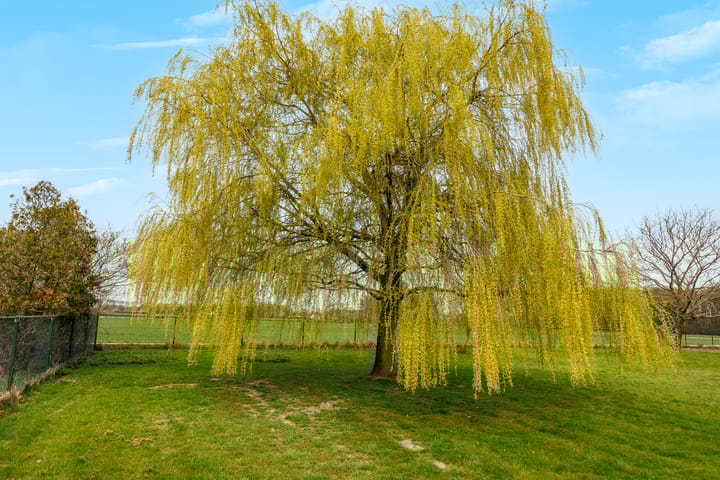 Foto 55 van Pannenweg 1-A