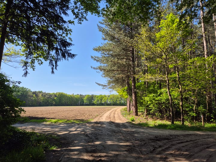 Photo 35 of Ekkerweg 14