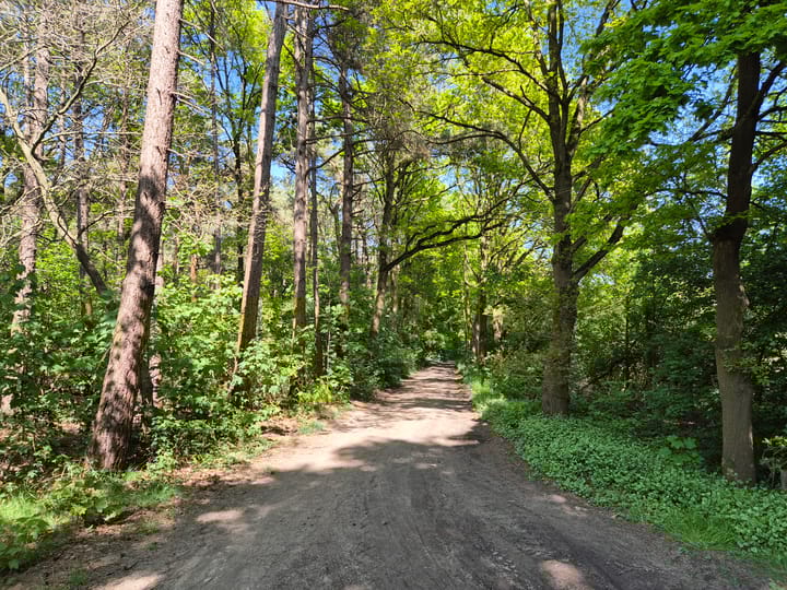 Photo 38 of Ekkerweg 14