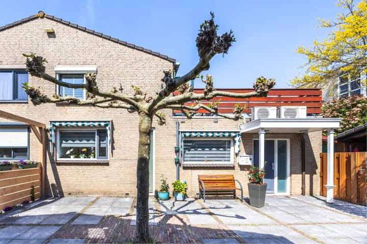 Foto 7 van Thelonius Monkpad 6