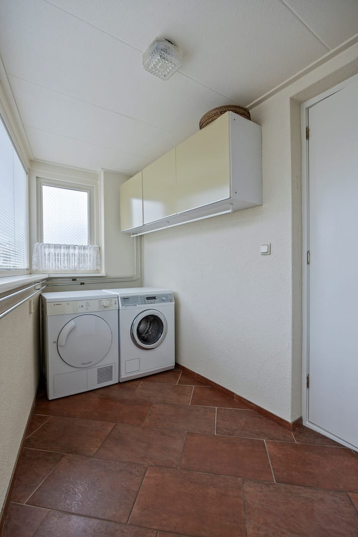 Photo 25 of Dwergstern 45