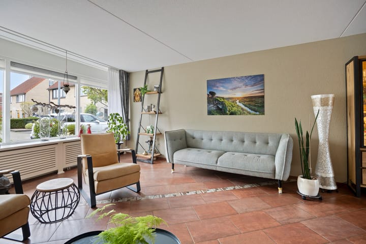 Photo 15 of Dwergstern 45